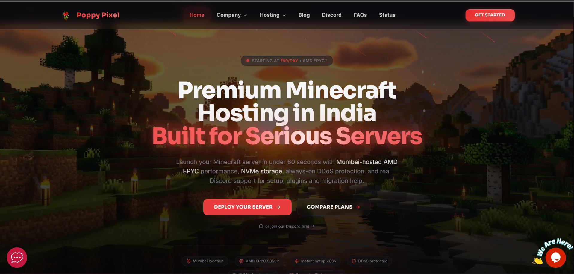 PoppyPixel — Minecraft Hosting Platform built by Sai Ganesha MS, website developer in Bengaluru, India